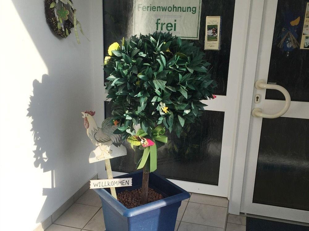 Ferienwohnungen Haus Zur Linde Cochem Bagian luar foto